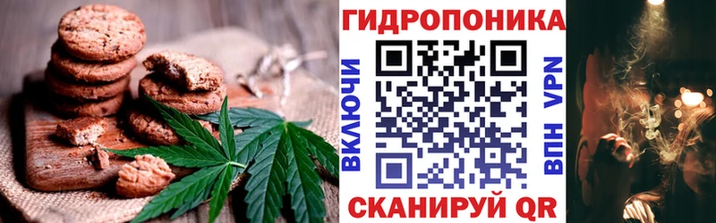Купить закладки  Белинский  Cannafood марихуана 