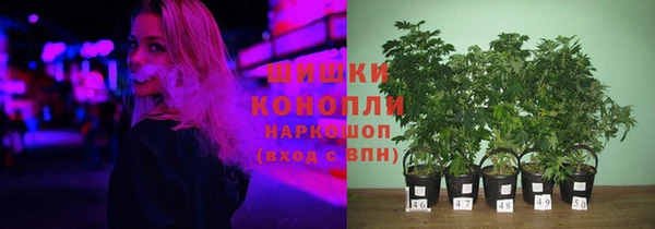 apvp Кодинск