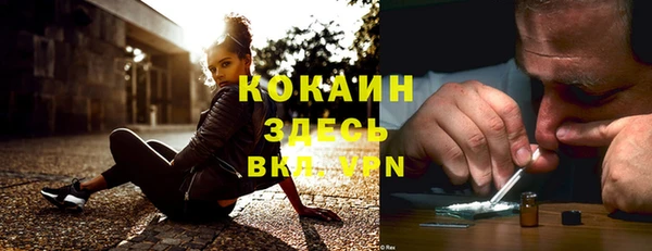 apvp Кодинск
