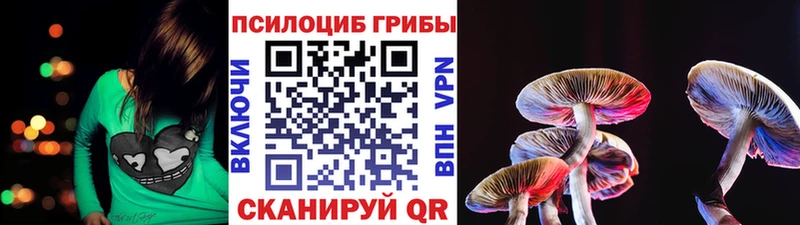 Купить где  Белинский  Псилоцибиновые грибы прущие грибы 
